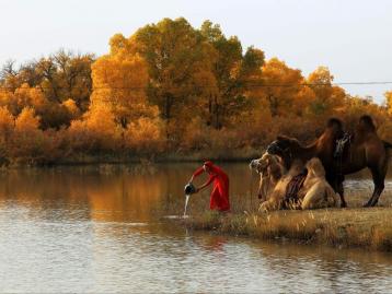 西安出发张掖额济纳7日自驾游：张掖丹霞地貌-额济纳旗胡杨-居延海7日自驾游