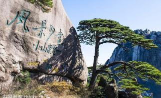 山东出发安徽5日自驾游：黄山-宏村-塔川-鲍家花园-屯溪老街精品游-推荐