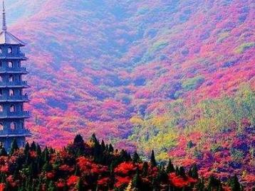 北京出发山东河北4日自驾游：红叶谷-广府古城-娲皇宫4日自驾之旅