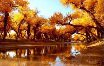 济南出发自驾额济纳8日游：乌兰察布-乌梁素海-额济纳胡杨林-嘉峪关-波浪谷8日游-游推荐