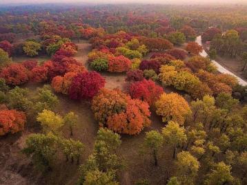 北京出发通辽5日自驾游：奈曼怪柳-沙漠草原-五角枫-金秋通辽公益扶贫5日自驾游