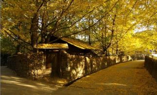 昆明集合云南滇西6日自驾游：金秋昆明大理腾冲瑞丽6日落地租车自驾-推荐