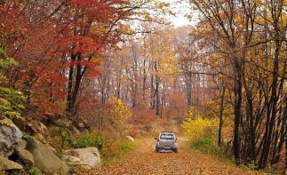 重庆出发四川自驾游：赏光雾山秋色-逛三国古都-昭化古城3日自驾游-推荐