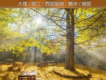 昆明集合云南10日自驾游：无量山樱花海-腾冲银杏-大理丽江-西双版纳赏秋之旅