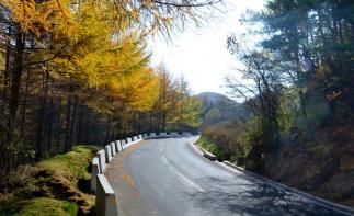 武汉出发穿越秦岭5日自驾游：留侯古镇-周至水街-黄柏塬生态区5日邂逅最美秋色-推荐