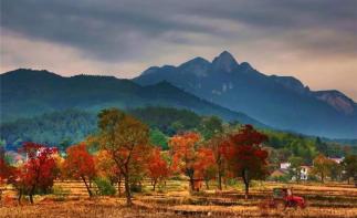 武汉周边2日自驾游：罗田红叶节-天堂寨景区-九资河圣人堂村2日自驾游-推荐