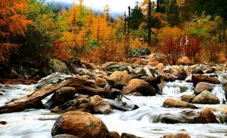 成都周边2日秋季赏红叶彩林自驾游：凉台沟-毕棚沟2日纯玩休闲自驾游-推荐