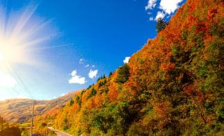 成都周边2日秋季赏红叶自驾游：奶子沟-八十里彩林风情谷-卡龙沟2日自驾游-推荐