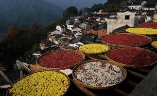 周末无锡周边自驾游：踏遍浙皖天路s218-浙西大峡谷-柳溪江炫丽秋色2日自驾游-推荐