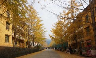 中山出发韶关2日自驾游：邂逅广东最美秋色南雄银杏古树、始兴红土地2天自驾-推荐