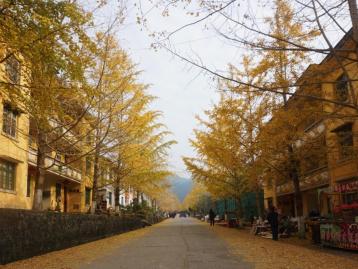 中山出发韶关2日自驾游：邂逅广东最美秋色南雄银杏古树、始兴红土地2天自驾