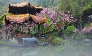 长沙出发常德2日自驾游：金秋聚桃园，赏醉美桃花源2日周末游-推荐