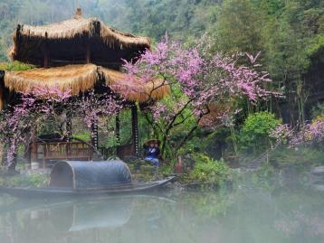 长沙出发常德2日自驾游：金秋聚桃园，赏醉美桃花源2日周末游