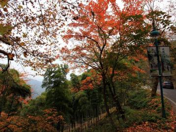 郑州出发安徽浙江7日自驾游：徽州秋韵-千岛湖-莫干山低奢养生休闲7日精品自驾