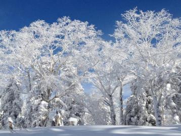 北京出发东北雪乡7日自驾游：中国最美雪乡、查干湖冬捕、虎峰岭雾淞、雪乡温泉