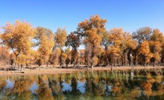 武汉出发乌鲁木齐集合南疆10日落地自驾游：穿越沙漠公路-胡杨林公园-享新疆美食-游老城的大街小巷10-推荐