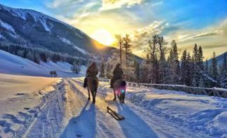 乌鲁木齐集合北疆7日落地自驾游：喀纳斯湖-禾木村-北疆体验刺激玩雪之旅-推荐