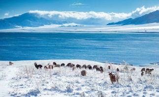 乌鲁木齐集合6天北疆自驾游：魔鬼城-禾木村-克拉玛依-喀纳斯6天冰雪自驾游-推荐