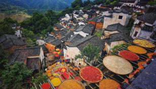 长沙出发江西婺源3日自驾游：瑶湾-篁岭晒秋-石门山大峡谷3日赏秋之旅-推荐