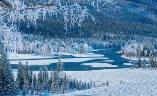 阿勒泰集合新疆4日落地自驾游：喀纳斯-禾木村雪景，体验新疆冰雪天地4日游-推荐