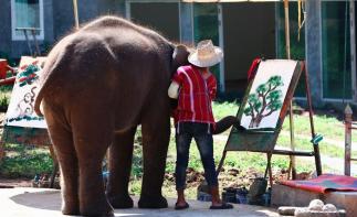 昆明出发泰国7天自驾游：金三角-清莱-清迈小城故事7日东南亚自驾游-推荐