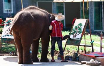 昆明出发泰国7天自驾游：金三角-清莱-清迈小城故事7日东南亚自驾游-游推荐