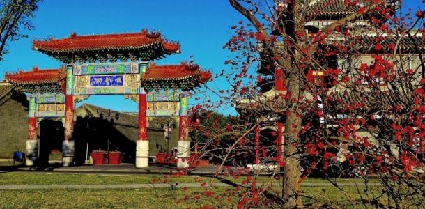 北京出发天津2日自驾游：杨柳青古镇、辛口镇采摘沙沃萝卜、天津热带植物观光园2日自驾-大自驾网