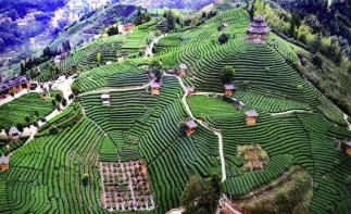 广东出发广西贵州6日自驾游:南丹洞天-南中国天眼-布央仙人6天休闲自驾游-推荐