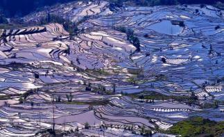 重庆出发云南6日自驾游：建水古城-元阳梯田-蒙自-碧色寨追忆芳华-罗平油菜花6日自驾之旅-推荐