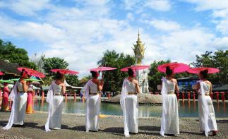 成都出发云南西双版纳7自驾游：傣族园-曼听公园-野象谷-抚仙湖7日自驾-推荐