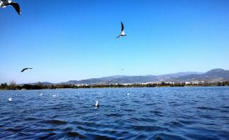 成都出发攀西6日自驾：西昌-攀枝花-米易梯田-会理古城6日-推荐