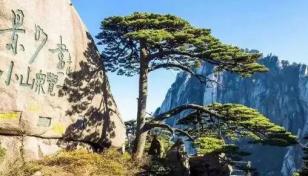 福建出发安徽5日自驾游：宏村-屯溪老街-黄山5日徽州体验之旅-推荐