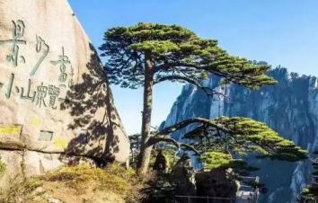 福建出发安徽5日自驾游：宏村-屯溪老街-黄山5日徽州体验之旅-游推荐