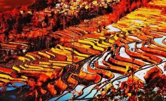 山东出发到贵州云南11日自驾游：罗平油菜花-元阳梯田-东川红土地11日自驾游-推荐