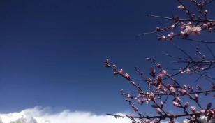 拉萨集合9日西藏林芝桃花节自驾游：林芝桃花沟-羊卓雍措-布达拉宫-然乌湖9日自驾游-推荐