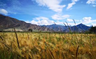 成都集合16日西藏自驾游：G318川藏线-稻城亚丁-羊湖-拉萨-翡翠湖16日川进青出自驾游-推荐