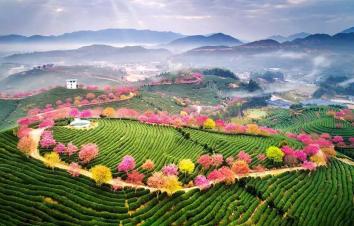 厦门集合6日福建省内自驾游：漳洲樱花-福建土楼-汀洲古城6日休闲自驾游-游推荐