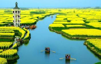 北京出发兴化5日自驾游：李中水上森林公园、兴化水中油菜花5日自驾-游推荐