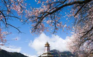 成都出发西藏桃花节14日自驾游：川藏线G318-布达拉宫-羊卓雍措-青海湖14日自驾游-推荐