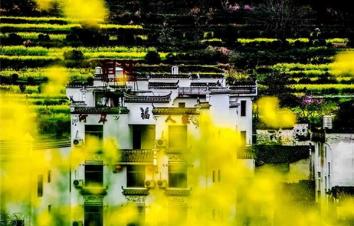 江苏出发江西3日自驾游：婺源油菜花-瑶里古镇-江岭赏花3日自驾游-游推荐