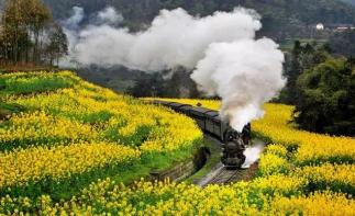 重庆出发川南2日自驾游：中国诺亚方舟罗城古镇，开往春天的嘉阳小火车2日自驾之旅-推荐