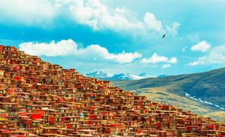 成都出发11日川藏线拼车包车游：新都桥摄影-色达-亚丁-波密11日川藏线包车游-推荐