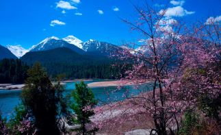 成都出发林芝拉萨9日包车游：林芝桃花沟-羊卓雍措-雅鲁藏布江大峡谷9日拼车游-推荐