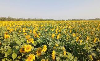 乌鲁木齐集合新疆13日自驾游：赛里木湖-喀纳斯-魔鬼城-鄯善北疆环线13日自驾游-推荐