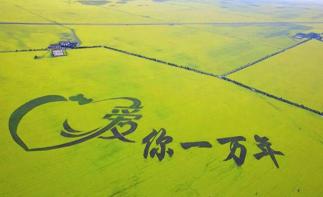 江苏出发青海12日自驾游：青海湖-门源油菜花-黄河三峡-茶卡盐湖12日全程穿越自驾游-推荐