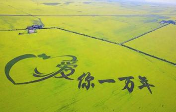 江苏出发青海12日自驾游：青海湖-门源油菜花-黄河三峡-茶卡盐湖12日全程穿越自驾游-游推荐