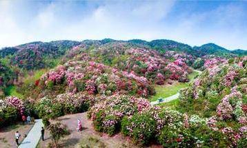 北京出发西安贵州广西13日自驾游：百里杜鹃-黄果树瀑布-龙脊梯田自驾游