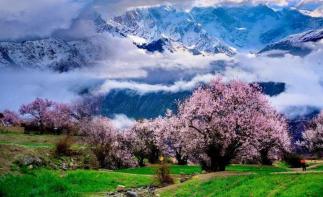 成都出发拉萨8日自驾游：新都桥-然乌湖-林芝-拉萨最美景观大道8日自驾游-推荐