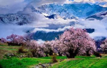 成都出发拉萨8日自驾游：新都桥-然乌湖-林芝-拉萨最美景观大道8日自驾游-游推荐