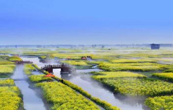北京出发江苏兴化4日自驾：垛田水上油菜花-鼋头渚樱花-台儿庄古城4日自驾游-游推荐